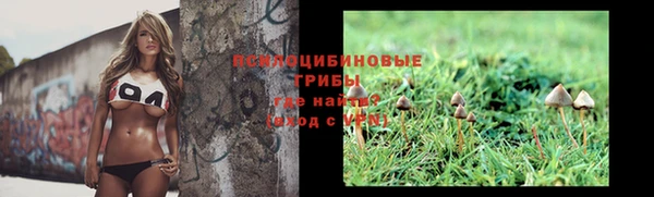 скорость mdpv Белокуриха
