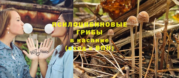 дурь Белоозёрский