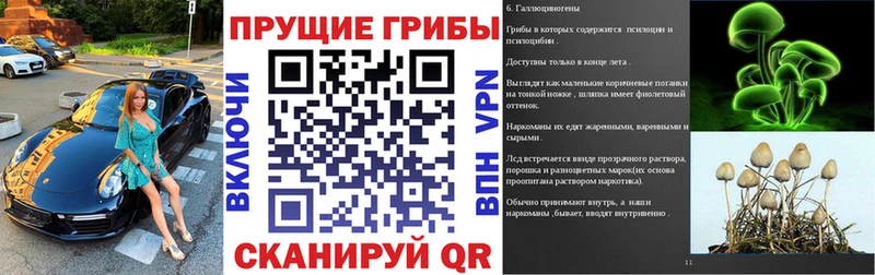Галлюциногенные грибы MAGIC MUSHROOMS  Заречный 